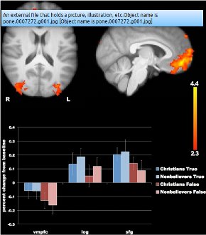 Sam Harris fMRI